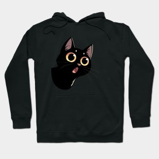 Surprised Black Cat Hoodie